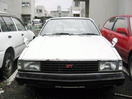 s3043061-img450x338-1169879493te711.gif