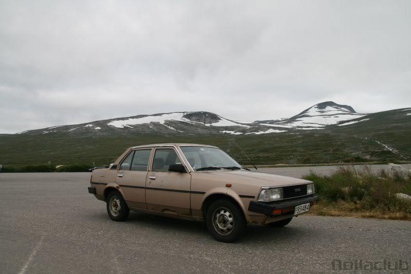 img141-2.jpg