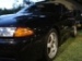nIsMo86