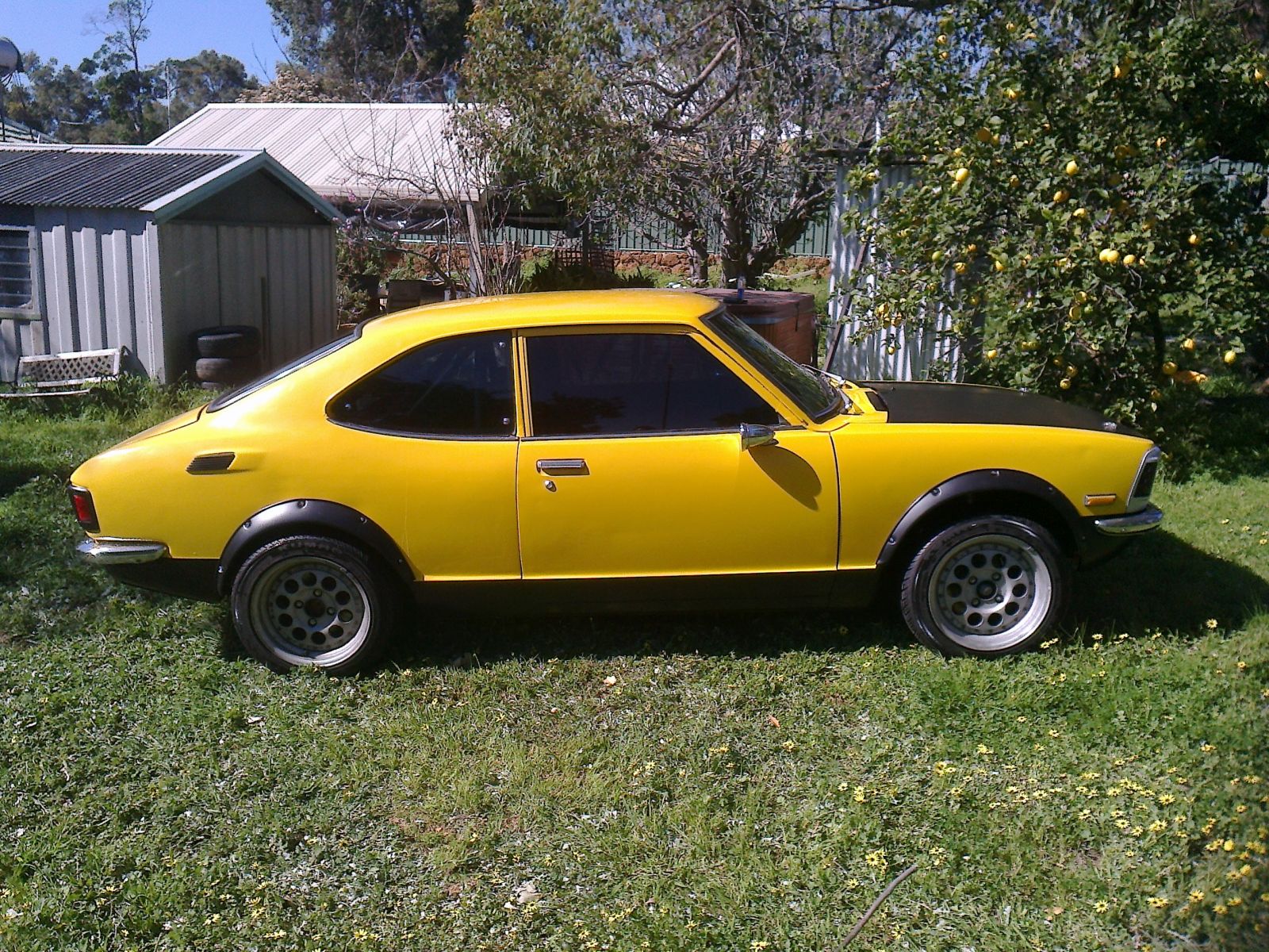 Photo0260