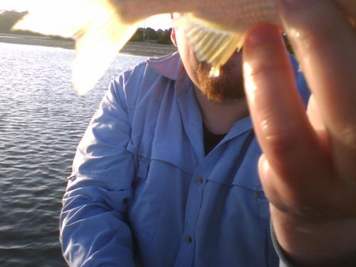post-1315-1233014104_thumb.jpg