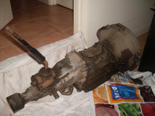 SDC13318.JPG