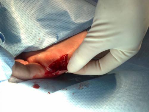 post-8435-0-99218300-1327365014_thumb.jpg