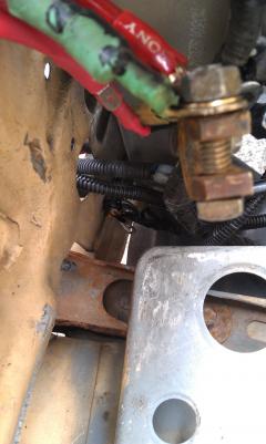 IMAG0458.jpg