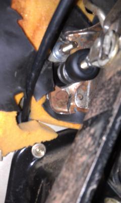 IMAG0438.jpg