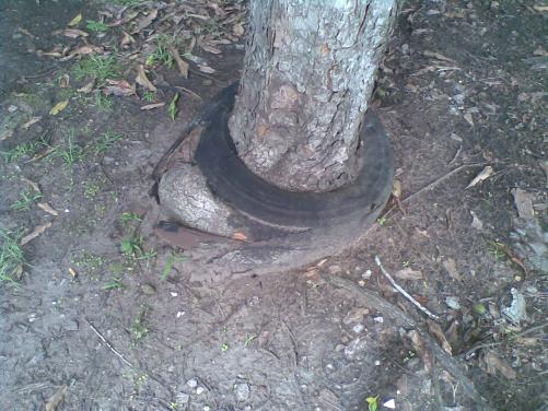 post-1158-1233734165_thumb.jpg