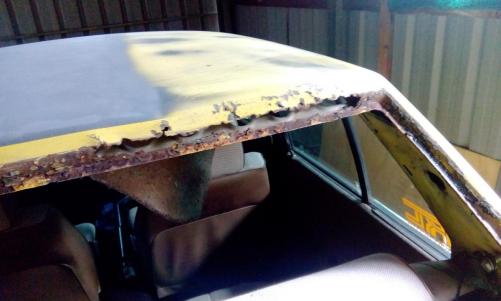 IMG_20161210_121012.jpg