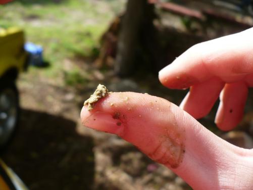 post-5027-1209446236_thumb.jpg