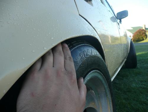 post-5632-1271765254_thumb.jpg