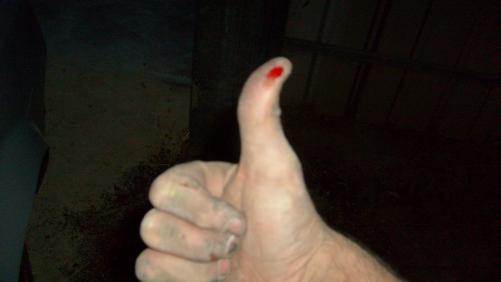 post-7027-1270387516_thumb.jpg