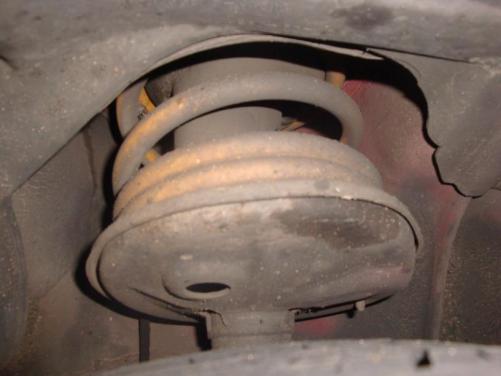 post-8643-1272283054_thumb.jpg