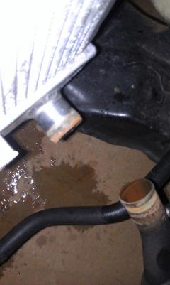 IMAG0492.jpg