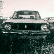The Bee