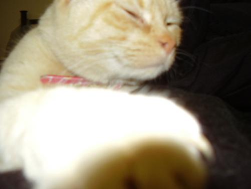 post-5737-1213175750_thumb.jpg