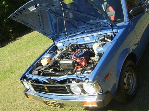 mini_SV107390.JPG