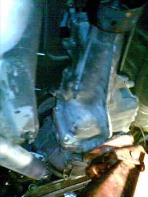 post-2153-1276307117_thumb.jpg