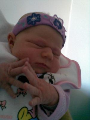 post-460-1246883792_thumb.jpg