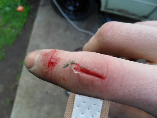 post-11376-1282026799_thumb.jpg