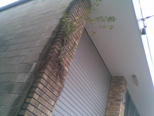 post-1158-1221945209_thumb.jpg