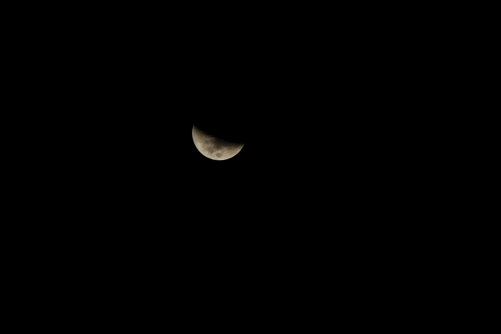 moonfull.png
