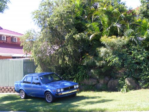 Blue_car_2009_Cal.___Storm_at_jasons_036.jpg