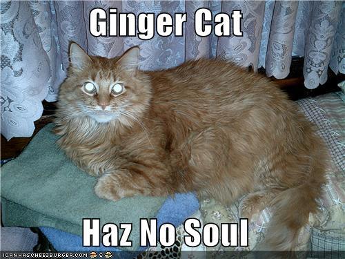 ginger.jpg