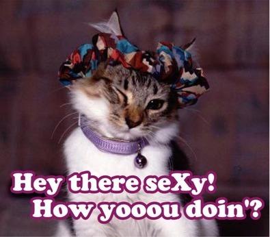 hey-sexy-how-you-doin.jpg