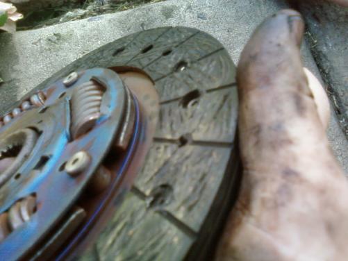 post-3024-1198241388_thumb.jpg