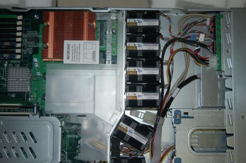 DSC_3686rs.JPG