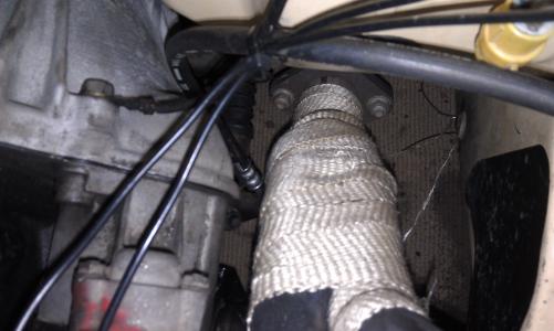 IMAG0316.jpg