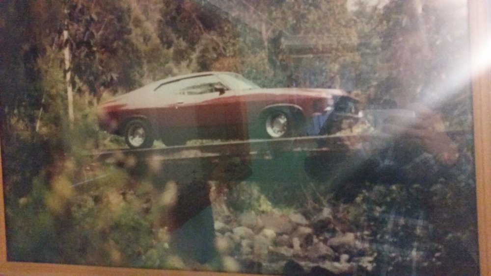 20170605_163759[1].jpg
