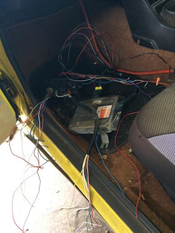 ECU wiring beginning.jpg