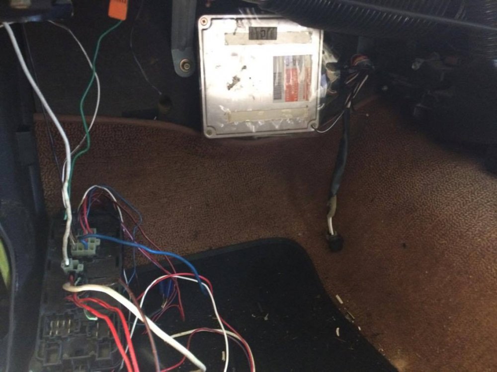 ECU factory temp install.jpg