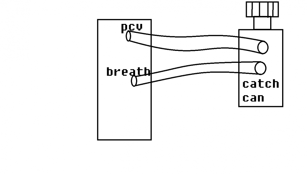 5a2bd3eaec9dd_catchcan.thumb.png.9bea1ba5b5e0dacb9370ab5a9f3dbbba.png