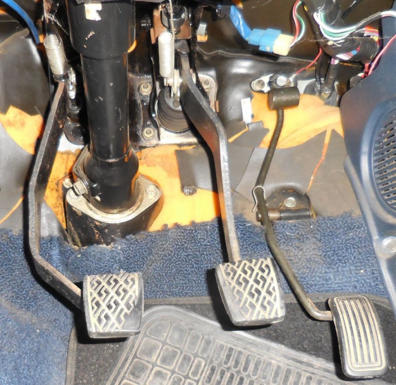 Beast's pedals.jpg