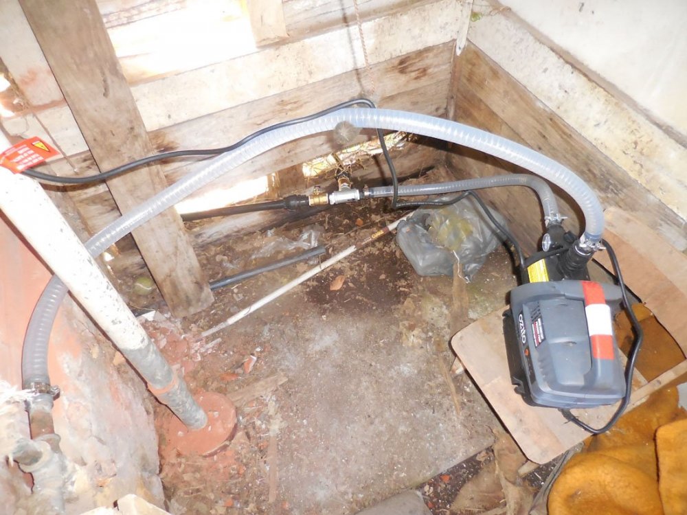 2000249725_CAvalepump.thumb.jpg.17d1877fa650d877c6be0c27bbe06233.jpg