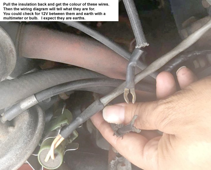 27372200_straywires.jpeg.4143c2a8269f80f9e3e84208d54600f4.jpeg