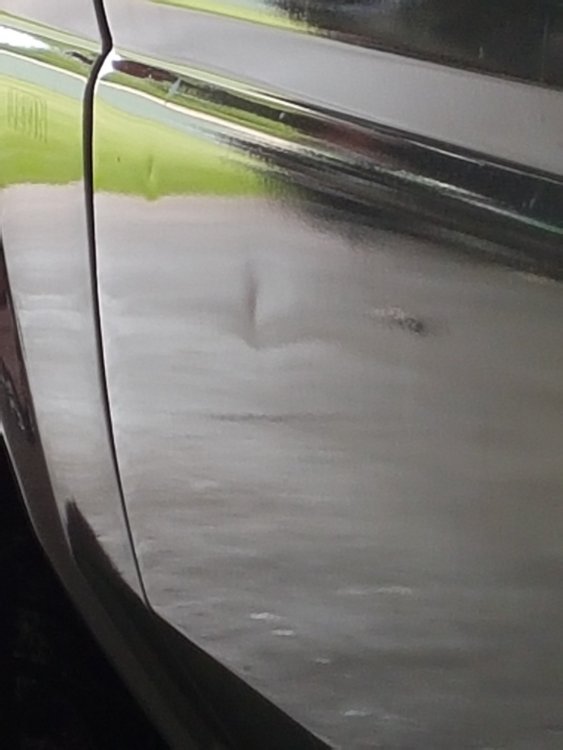 20190420_091739.jpg