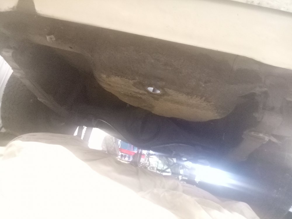 IMG20190429165318.jpg