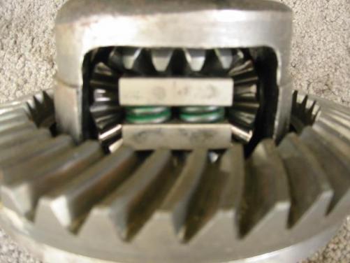 post-336-1163073047_thumb.jpg