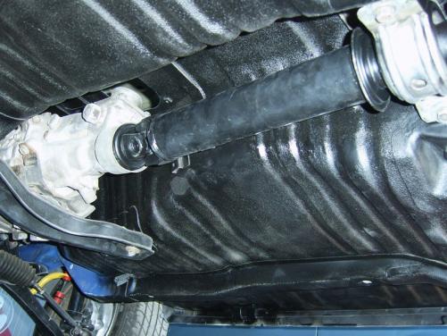 mini_SV109567.JPG