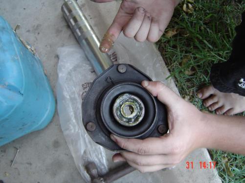 Pic3.JPG