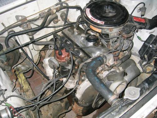 corolla07.jpg