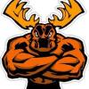 team moose