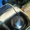 79gooser