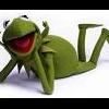 kermit55
